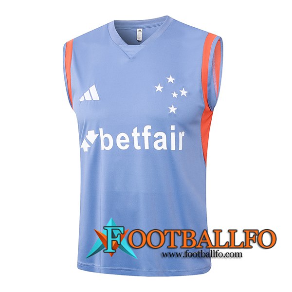 Chalecos De Futbol Cruzeiro Gris/Naranja 2024/2025