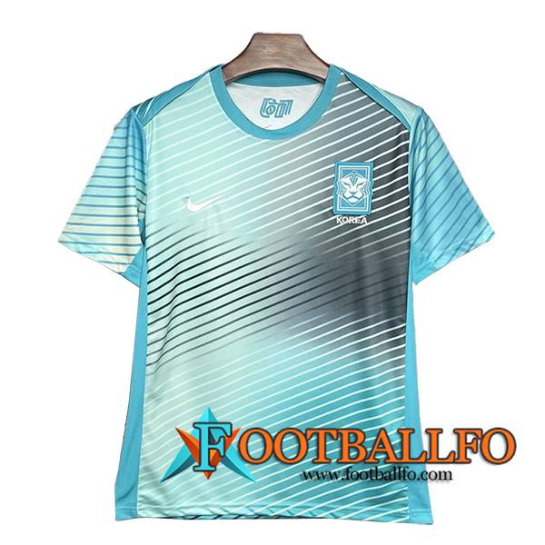 Camiseta Entrenamiento Corée Du Sud Azul/Gris 2024/2025