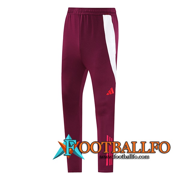 Pantalon Entrenamiento Bayern Munich Rojo 2024/2025