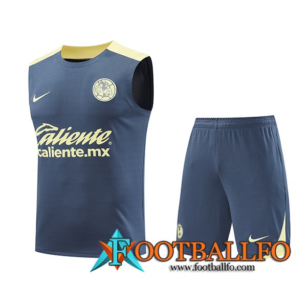 Camiseta Entrenamiento sin mangas Club America Gris/Amarillo 2024/2025