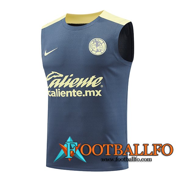 Chalecos De Futbol Club America Gris/Amarillo 2024/2025