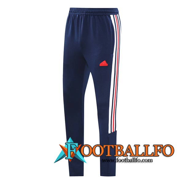 Pantalon Entrenamiento Adidas azul real 2024/2025